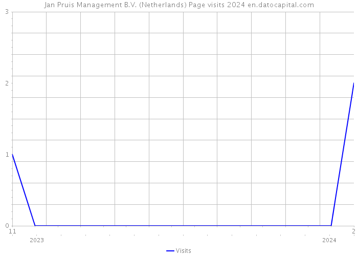 Jan Pruis Management B.V. (Netherlands) Page visits 2024 
