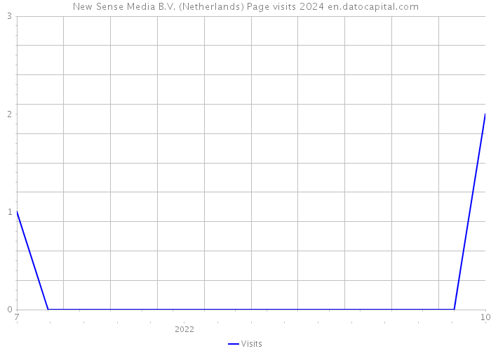 New Sense Media B.V. (Netherlands) Page visits 2024 