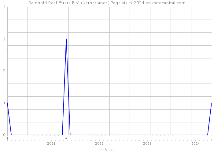 Reinhold Real Estate B.V. (Netherlands) Page visits 2024 