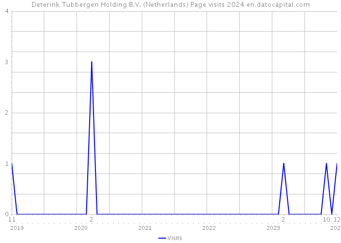 Deterink Tubbergen Holding B.V. (Netherlands) Page visits 2024 