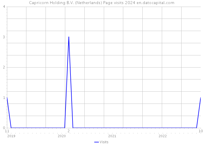 Capricorn Holding B.V. (Netherlands) Page visits 2024 