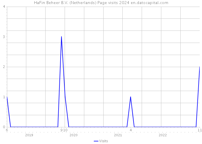 HaFin Beheer B.V. (Netherlands) Page visits 2024 