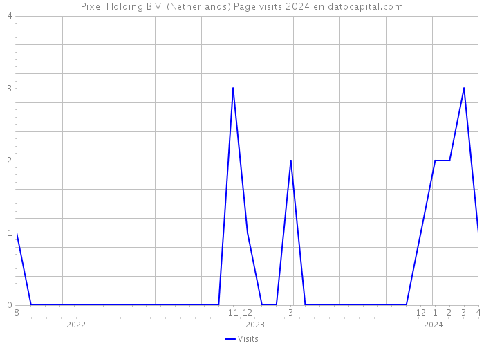 Pixel Holding B.V. (Netherlands) Page visits 2024 