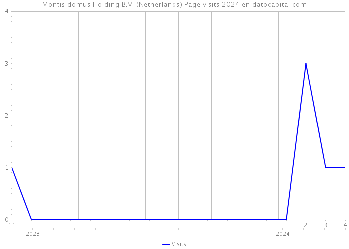 Montis domus Holding B.V. (Netherlands) Page visits 2024 