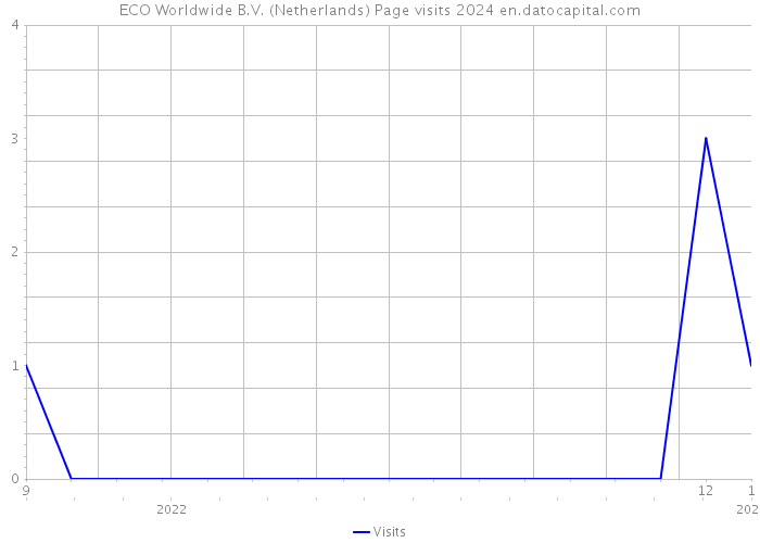 ECO Worldwide B.V. (Netherlands) Page visits 2024 