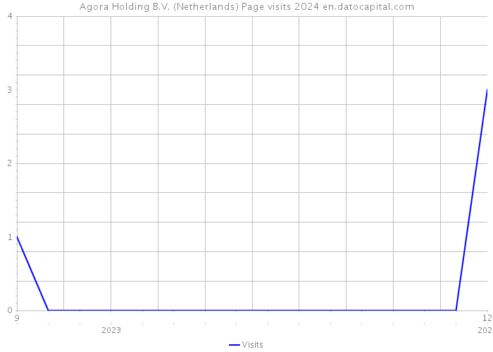 Agora Holding B.V. (Netherlands) Page visits 2024 
