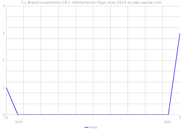 G.J. Brand Investments II B.V. (Netherlands) Page visits 2024 