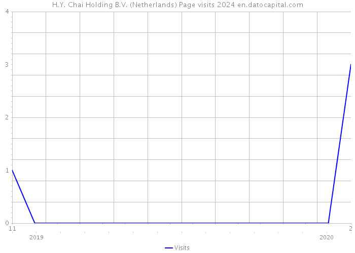 H.Y. Chai Holding B.V. (Netherlands) Page visits 2024 