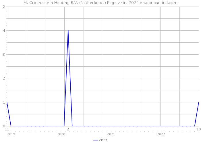 M. Groenestein Holding B.V. (Netherlands) Page visits 2024 