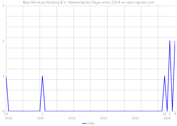 Blue Monkey Holding B.V. (Netherlands) Page visits 2024 