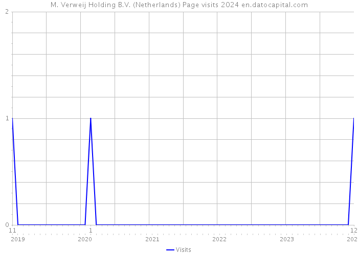 M. Verweij Holding B.V. (Netherlands) Page visits 2024 