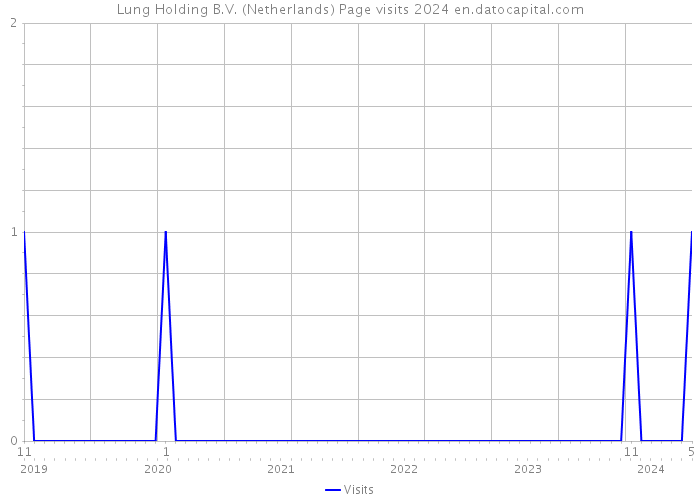 Lung Holding B.V. (Netherlands) Page visits 2024 