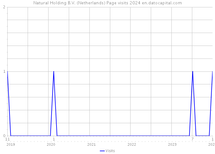 Natural Holding B.V. (Netherlands) Page visits 2024 