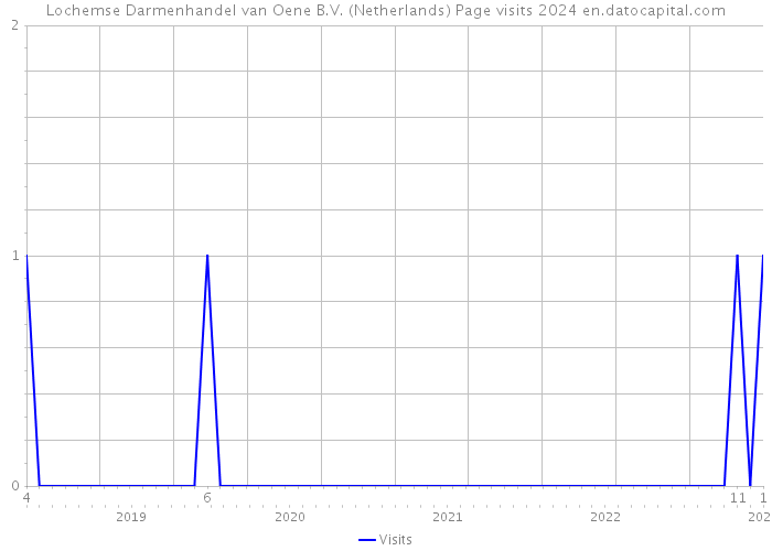 Lochemse Darmenhandel van Oene B.V. (Netherlands) Page visits 2024 
