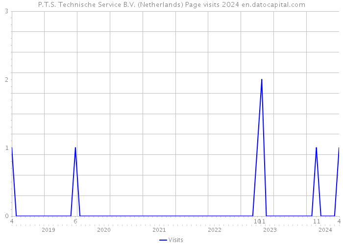 P.T.S. Technische Service B.V. (Netherlands) Page visits 2024 