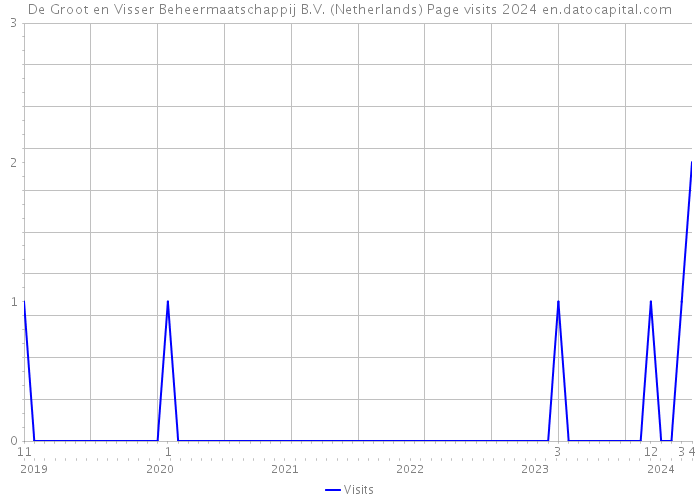 De Groot en Visser Beheermaatschappij B.V. (Netherlands) Page visits 2024 