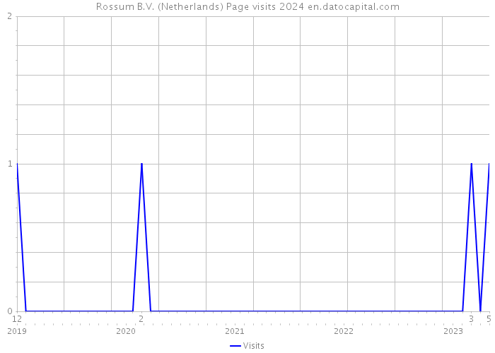 Rossum B.V. (Netherlands) Page visits 2024 