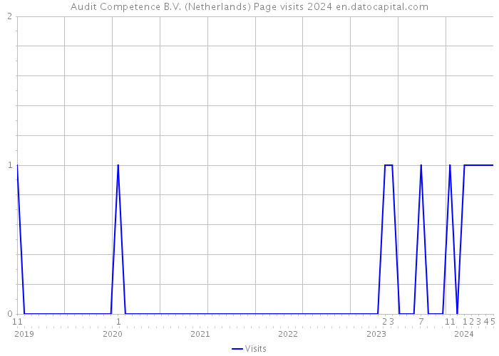 Audit Competence B.V. (Netherlands) Page visits 2024 