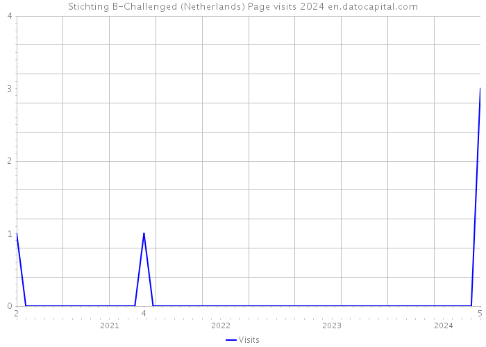 Stichting B-Challenged (Netherlands) Page visits 2024 
