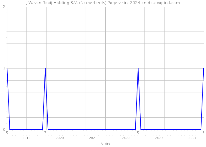 J.W. van Raaij Holding B.V. (Netherlands) Page visits 2024 