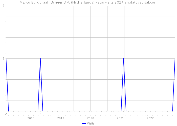 Marco Burggraaff Beheer B.V. (Netherlands) Page visits 2024 