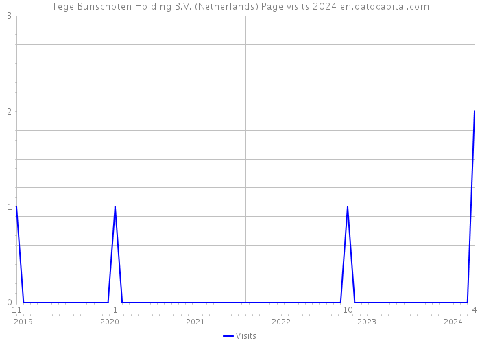 Tege Bunschoten Holding B.V. (Netherlands) Page visits 2024 