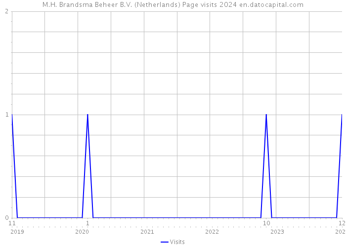 M.H. Brandsma Beheer B.V. (Netherlands) Page visits 2024 