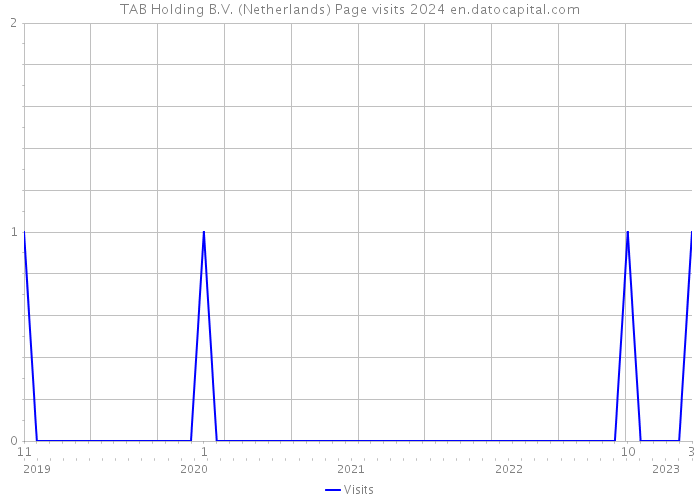 TAB Holding B.V. (Netherlands) Page visits 2024 