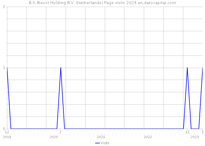 B.S. Biesot Holding B.V. (Netherlands) Page visits 2024 