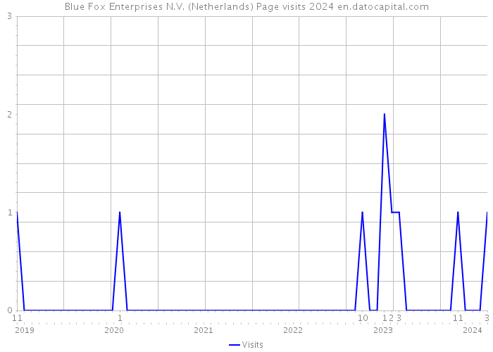 Blue Fox Enterprises N.V. (Netherlands) Page visits 2024 