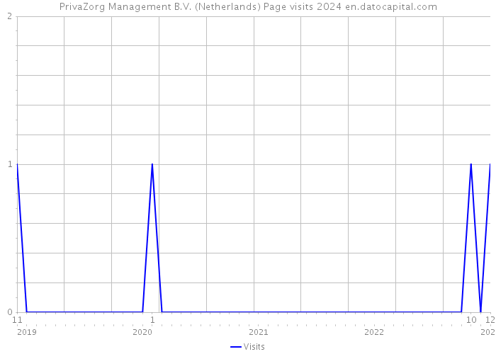 PrivaZorg Management B.V. (Netherlands) Page visits 2024 