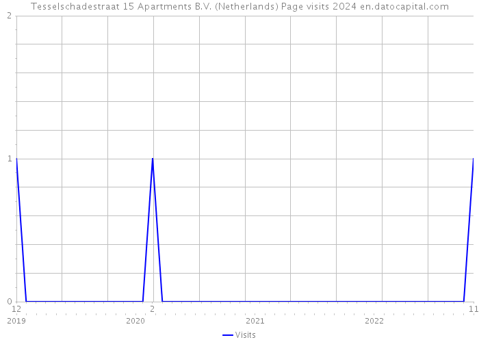Tesselschadestraat 15 Apartments B.V. (Netherlands) Page visits 2024 