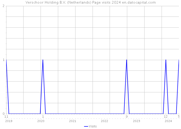 Verschoor Holding B.V. (Netherlands) Page visits 2024 