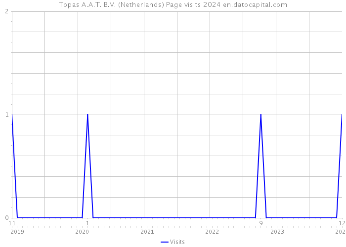 Topas A.A.T. B.V. (Netherlands) Page visits 2024 