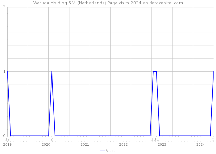 Weruda Holding B.V. (Netherlands) Page visits 2024 