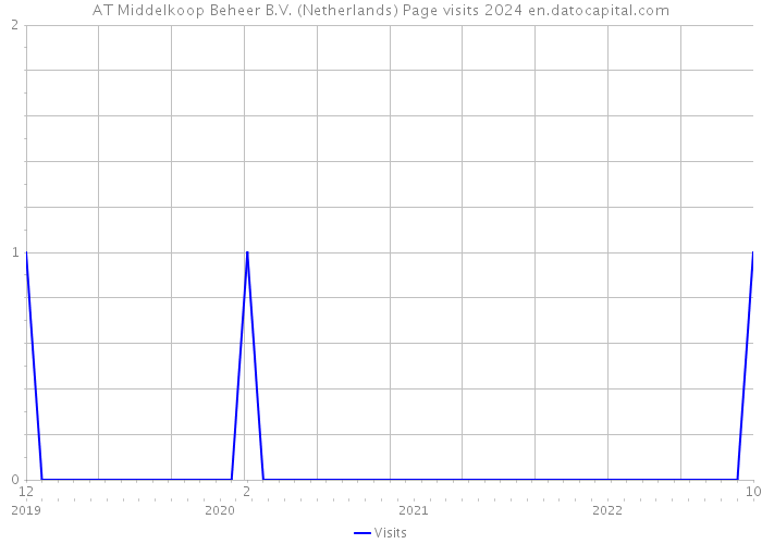 AT Middelkoop Beheer B.V. (Netherlands) Page visits 2024 