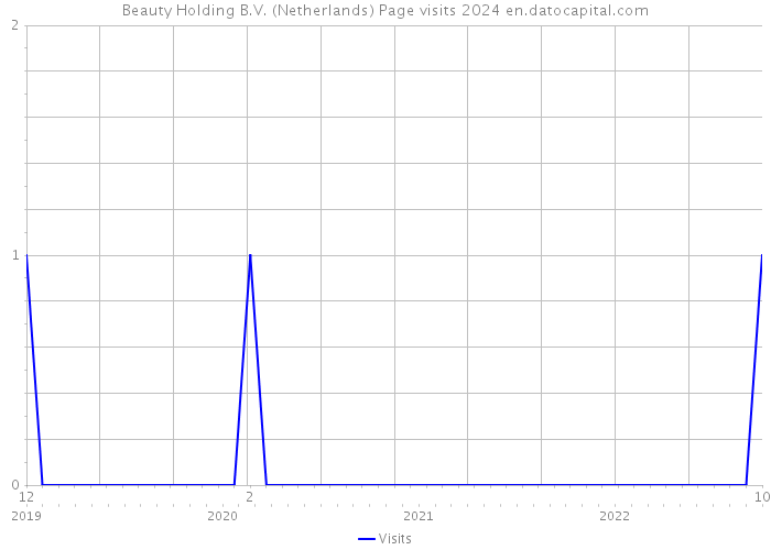 Beauty Holding B.V. (Netherlands) Page visits 2024 