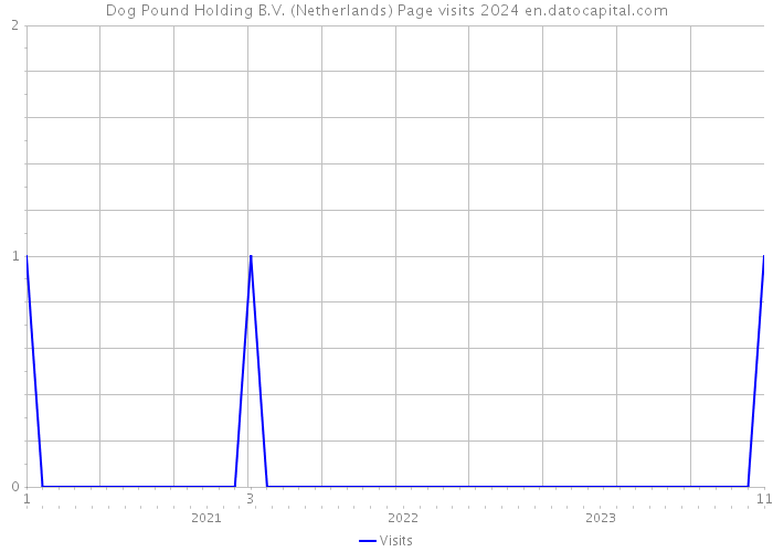 Dog Pound Holding B.V. (Netherlands) Page visits 2024 
