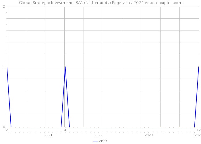 Global Strategic Investments B.V. (Netherlands) Page visits 2024 