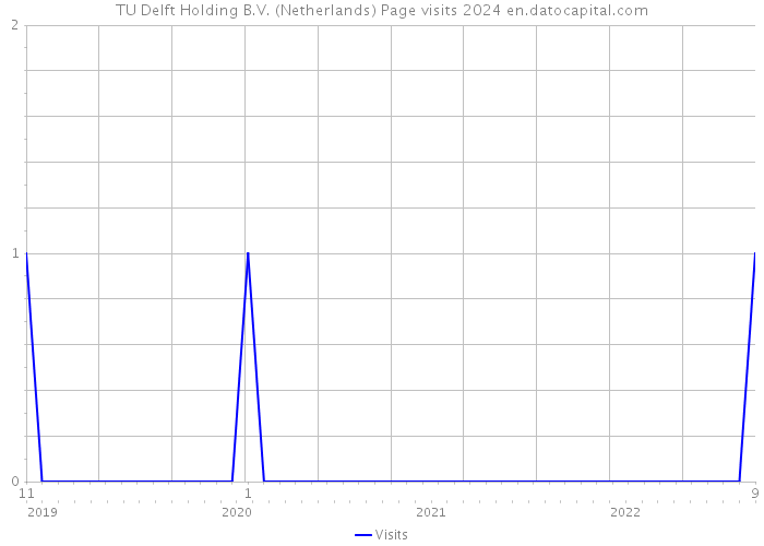 TU Delft Holding B.V. (Netherlands) Page visits 2024 