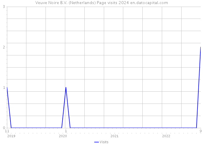Veuve Noire B.V. (Netherlands) Page visits 2024 