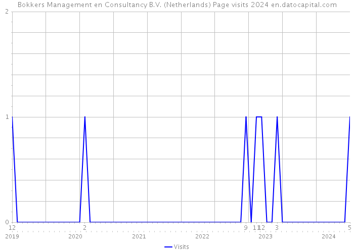 Bokkers Management en Consultancy B.V. (Netherlands) Page visits 2024 