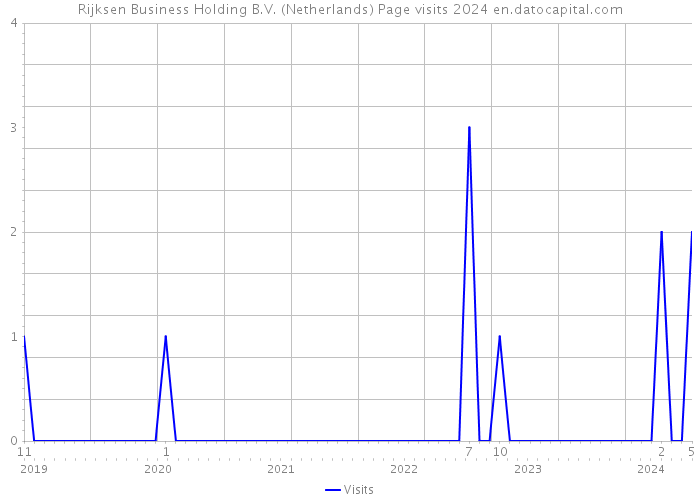Rijksen Business Holding B.V. (Netherlands) Page visits 2024 