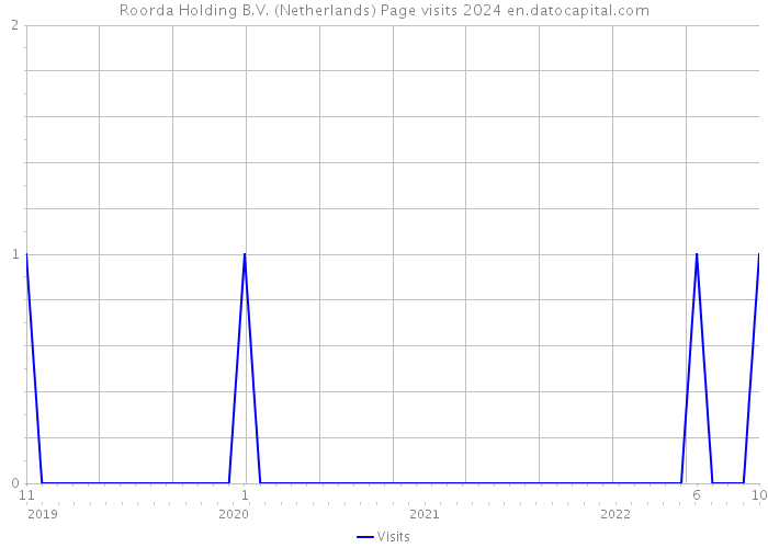Roorda Holding B.V. (Netherlands) Page visits 2024 
