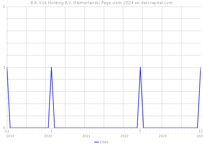 B.A. Kok Holding B.V. (Netherlands) Page visits 2024 