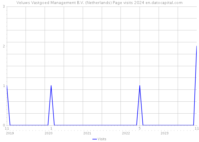 Veluws Vastgoed Management B.V. (Netherlands) Page visits 2024 