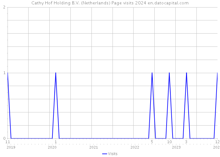 Cathy Hof Holding B.V. (Netherlands) Page visits 2024 