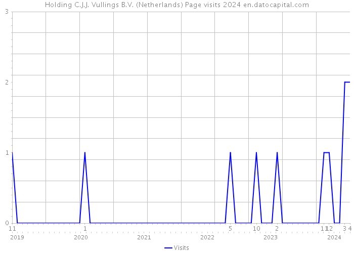 Holding C.J.J. Vullings B.V. (Netherlands) Page visits 2024 