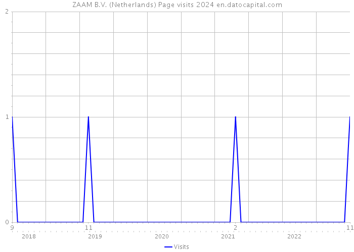 ZAAM B.V. (Netherlands) Page visits 2024 