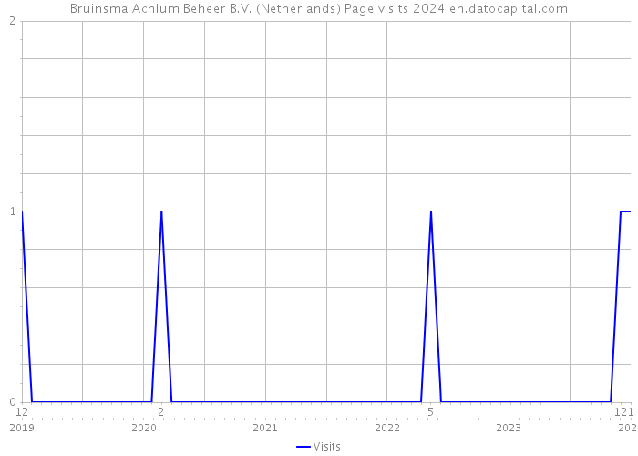 Bruinsma Achlum Beheer B.V. (Netherlands) Page visits 2024 